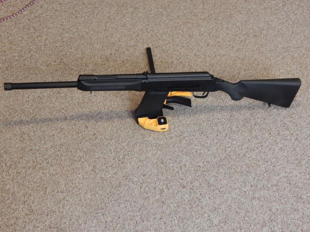 Saiga1.jpg