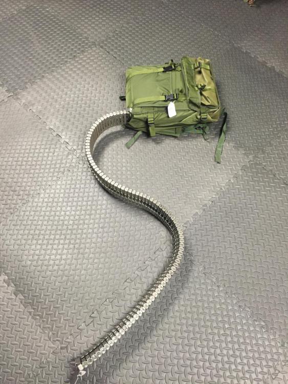 image.thumb.jpeg.efcc502bc18eabd69010224