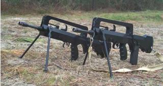 FAMAS_Pair.jpg