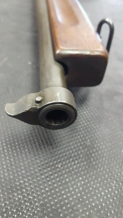 20170427_100258-480x853.jpg