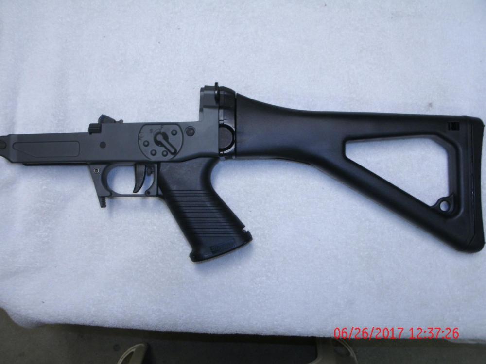 Sig 550 552 551A1 556 Lower Complete.JPG