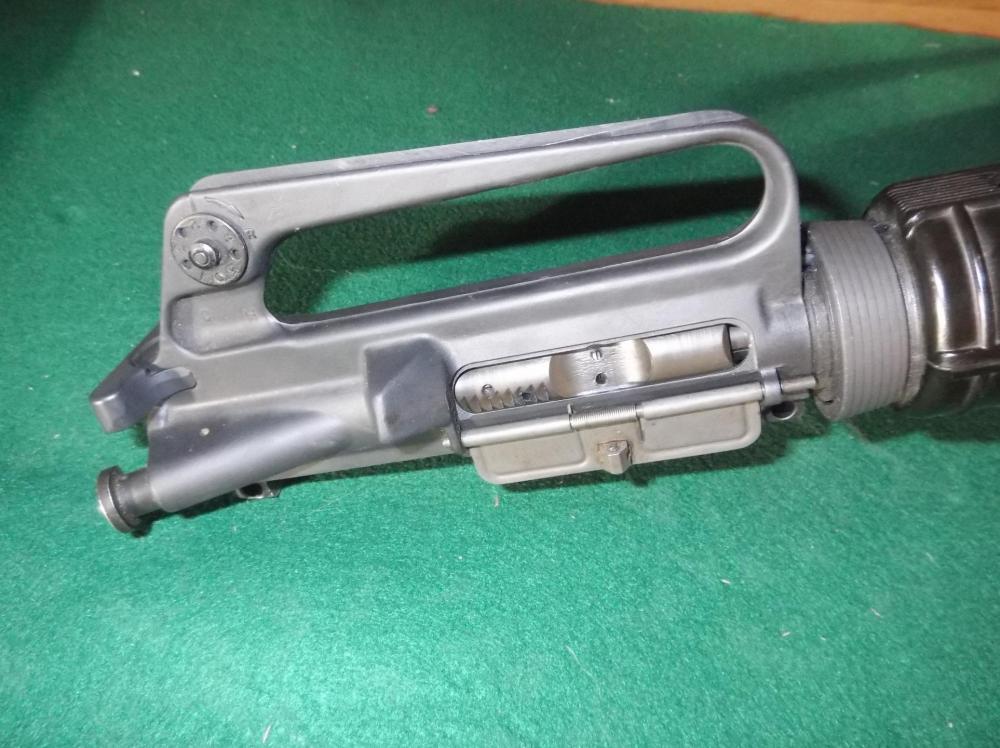 Colt2.jpg