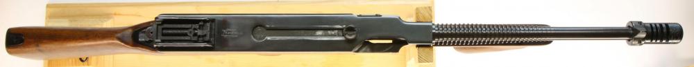 ThompsonTop.JPG