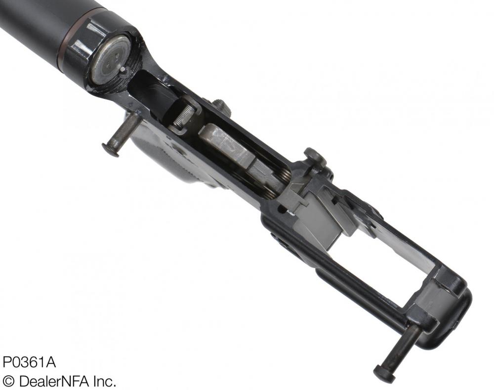 P0361A_PAWS_M16 - 004@2x.jpg