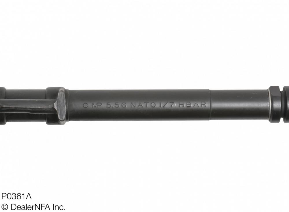 P0361A_PAWS_M16 - 009@2x.jpg