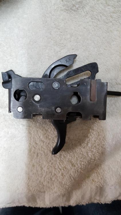 2019 ded frame 2.jpg