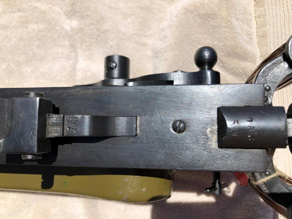 IMG_7632 (Large).JPG