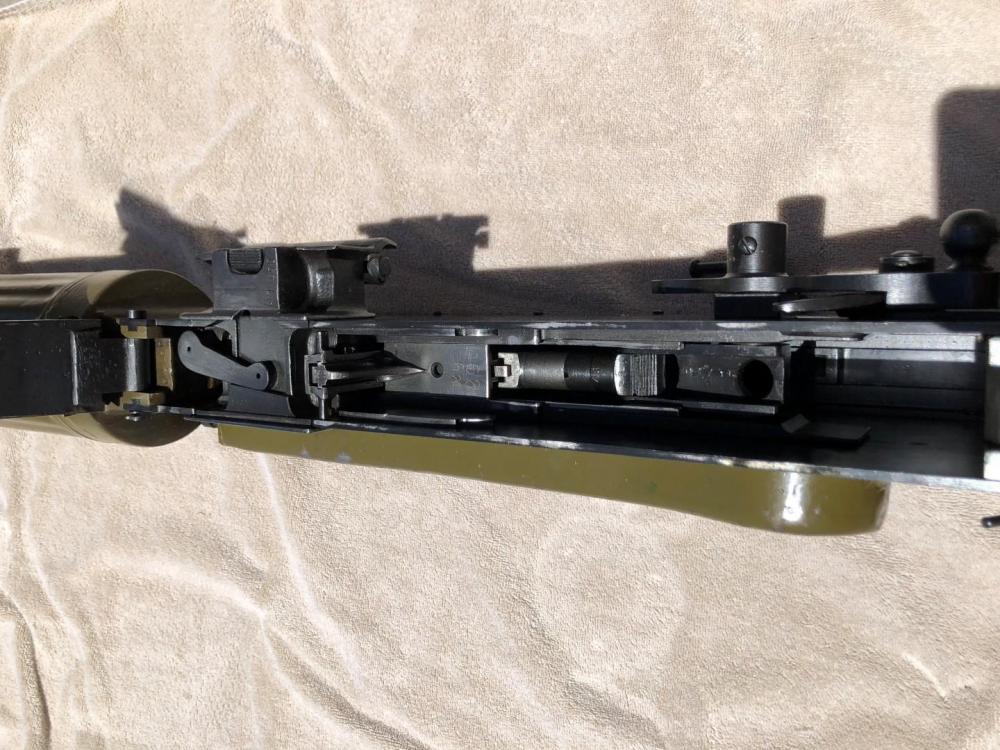 IMG_7637 (Large).JPG