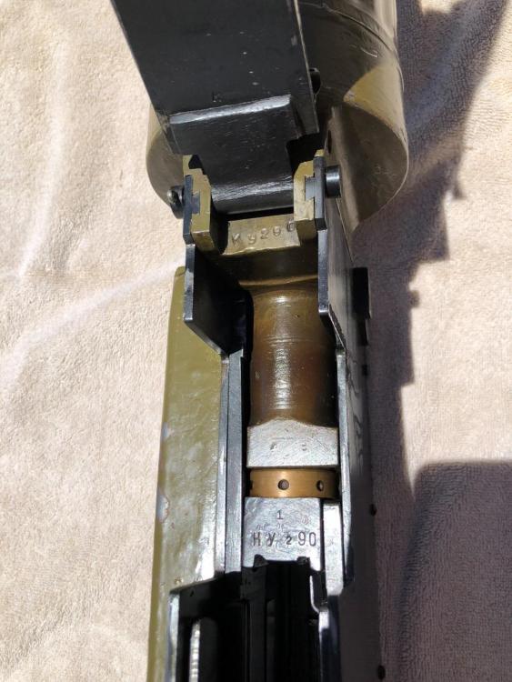 IMG_7639 (Large).JPG