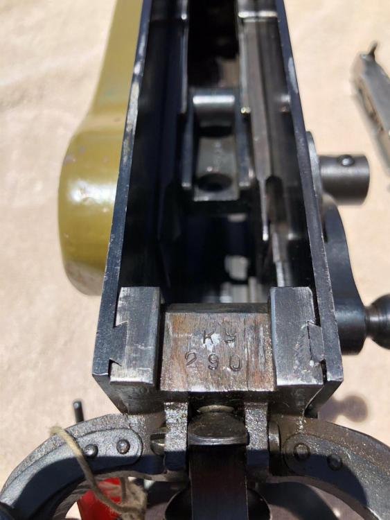 IMG_7640 (Large).JPG