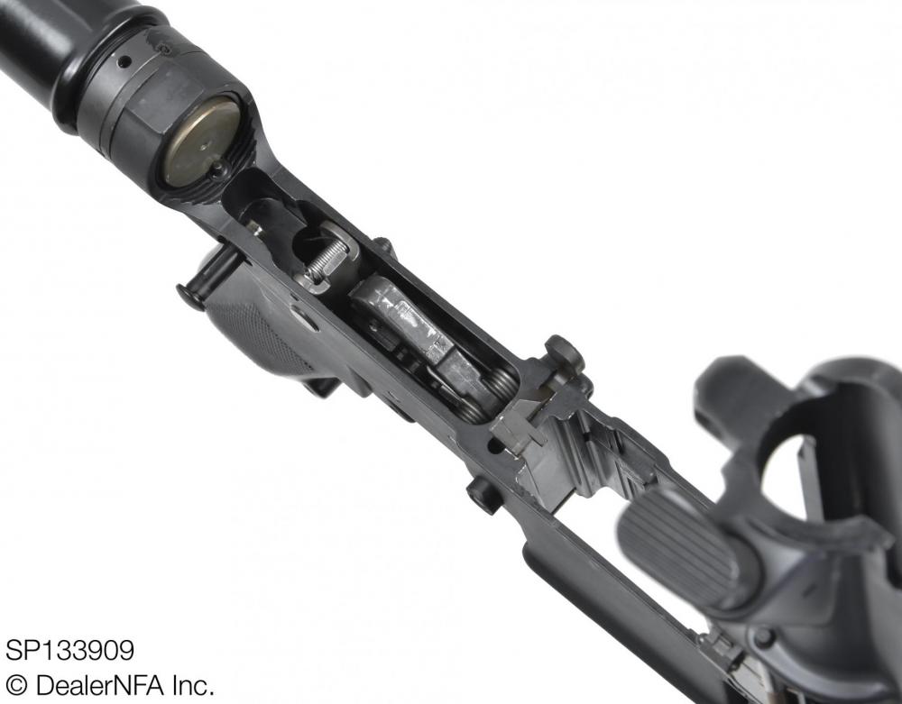 SP133909_SWD_Daniel_AR15 - 004@2x.jpg