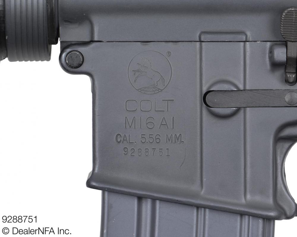 9288751 - 008@2x.jpg