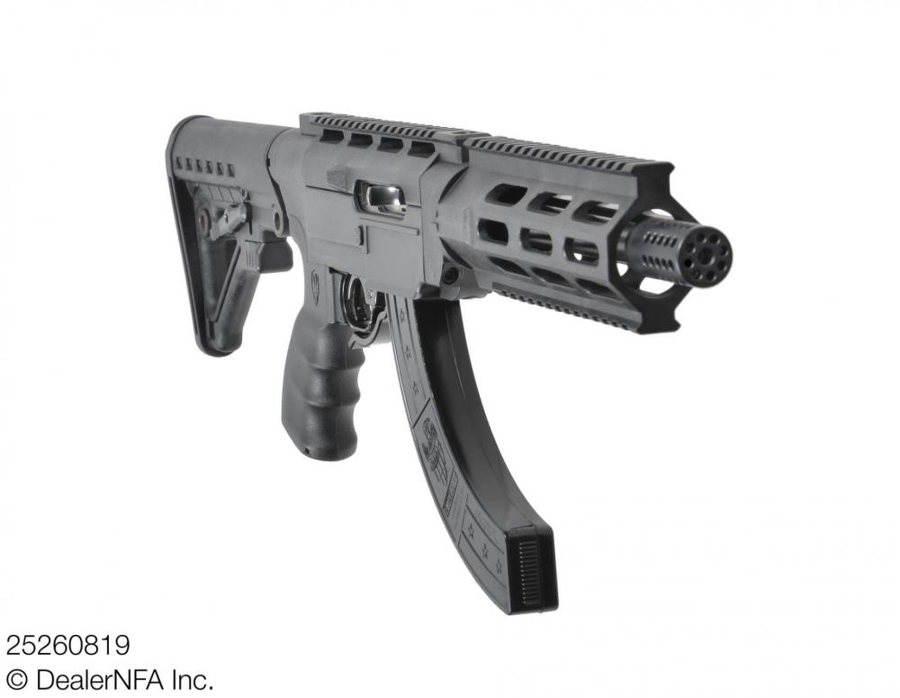 25260819_420_Ruger_10_22_SH_Arms - 003@2x.jpg