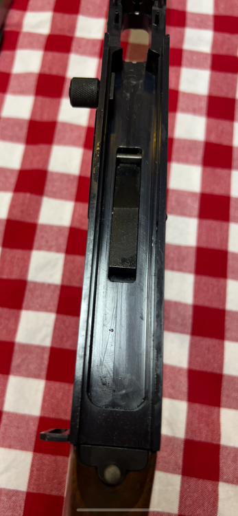 221D0441-E3DF-4A83-AB7F-8F4F6A3F9FFF.png