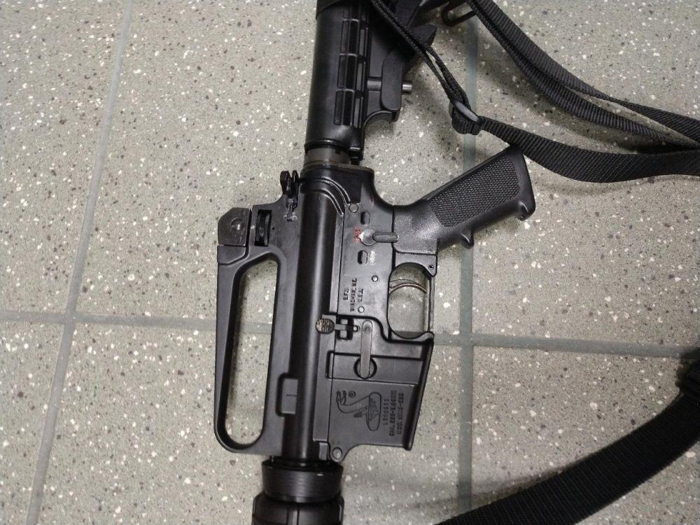 BushmasterSBR2.jpg