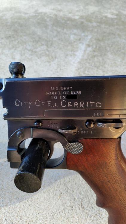 T City Pic (2).jpg
