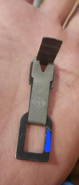 20230911_114521.thumb.jpg.43d49bf3bef93f1b125da65e0ba3ef3d.jpg