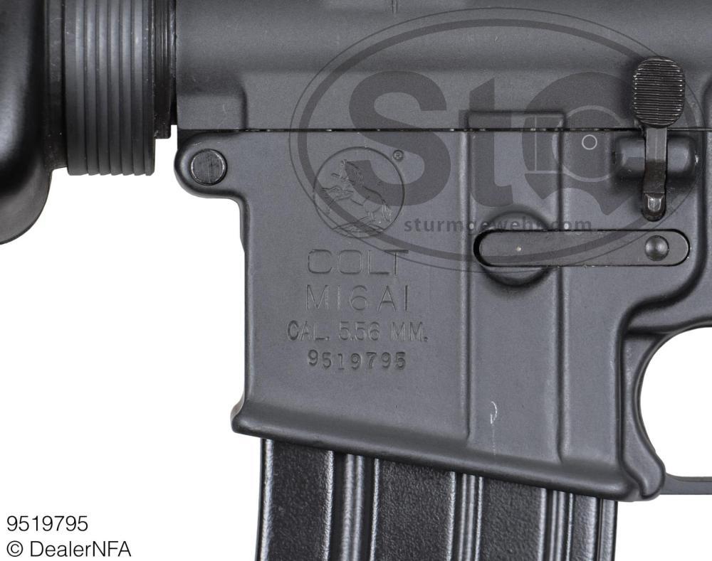 9519795_Colt_M16A1-008@2x.thumb.jpg.c292936afe5d7baea20724abe0331e7c.jpg