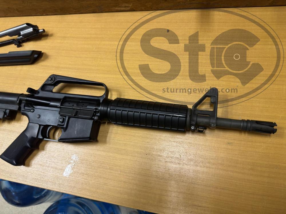 Photo Aug 30 2024, 3 11 21 PM.jpg