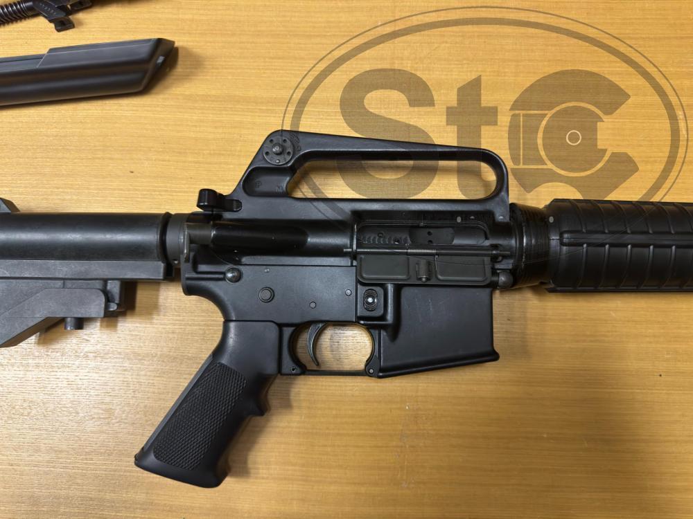 Photo Aug 30 2024, 3 11 23 PM.jpg