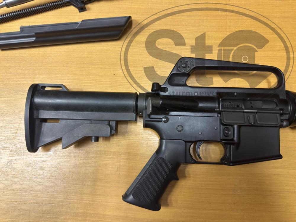 Photo Aug 30 2024, 3 11 25 PM.jpg