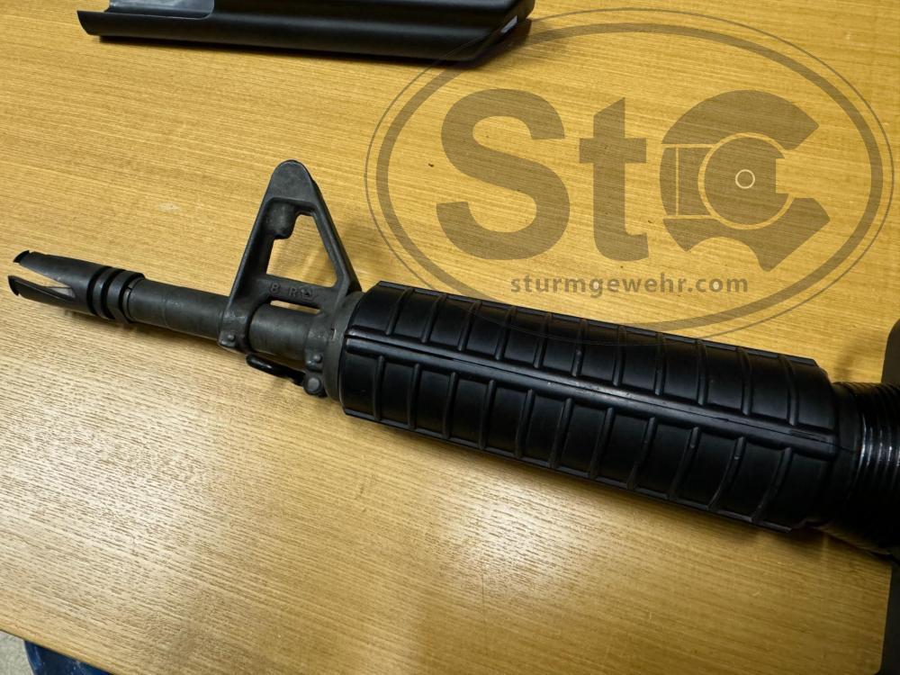 Photo Aug 30 2024, 3 11 39 PM.jpg