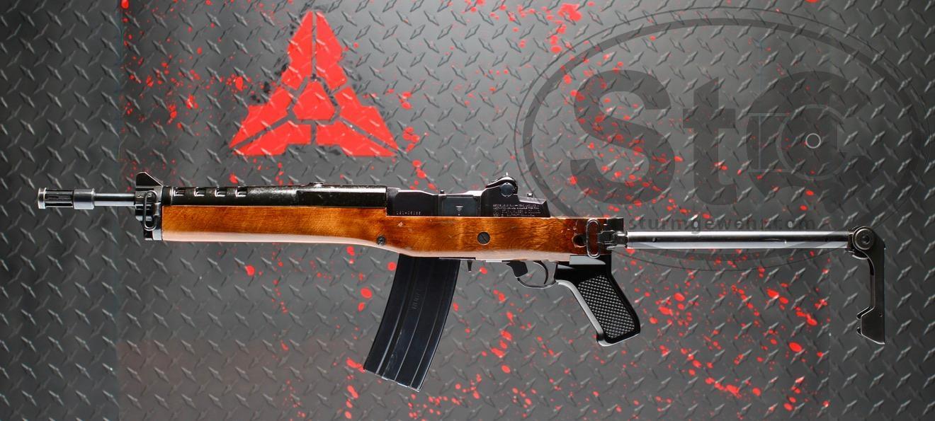 TRANSFERABLE RUGER AC556F 13