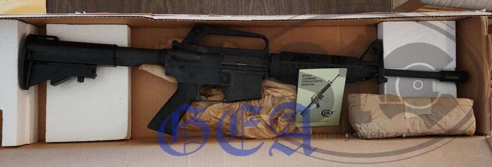 20240623_154020 watermark.jpg