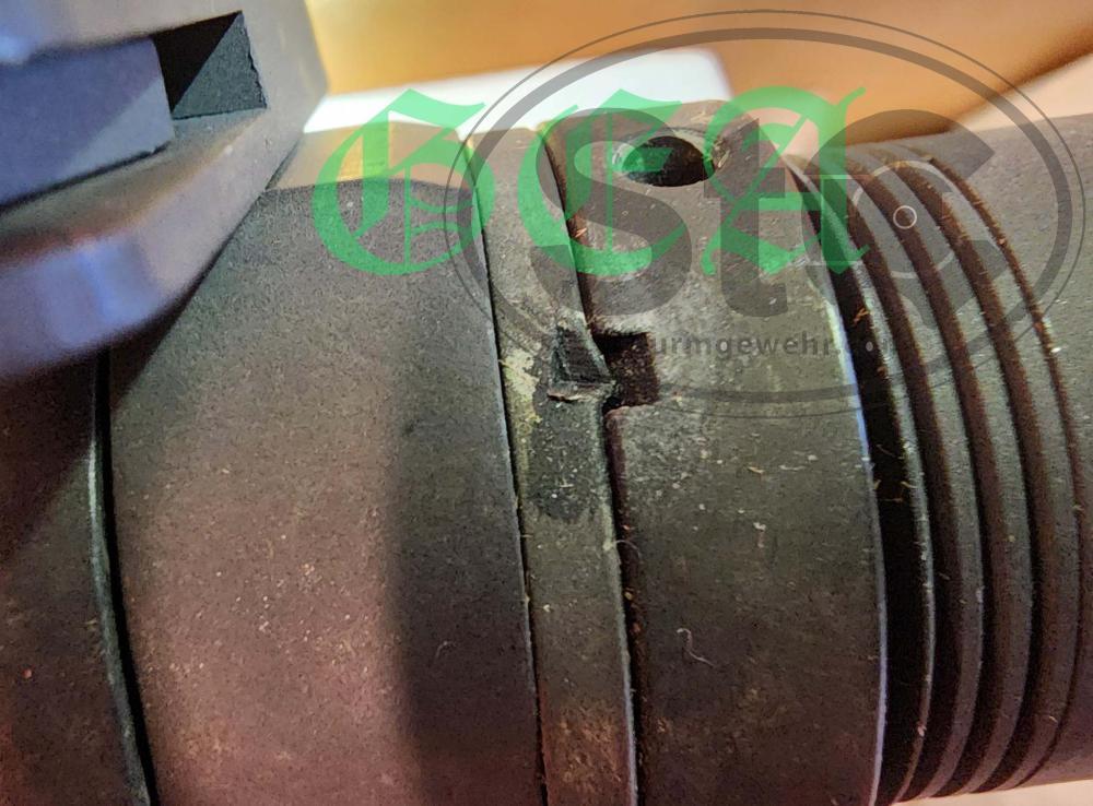 20240706_121848 second watermark.jpg