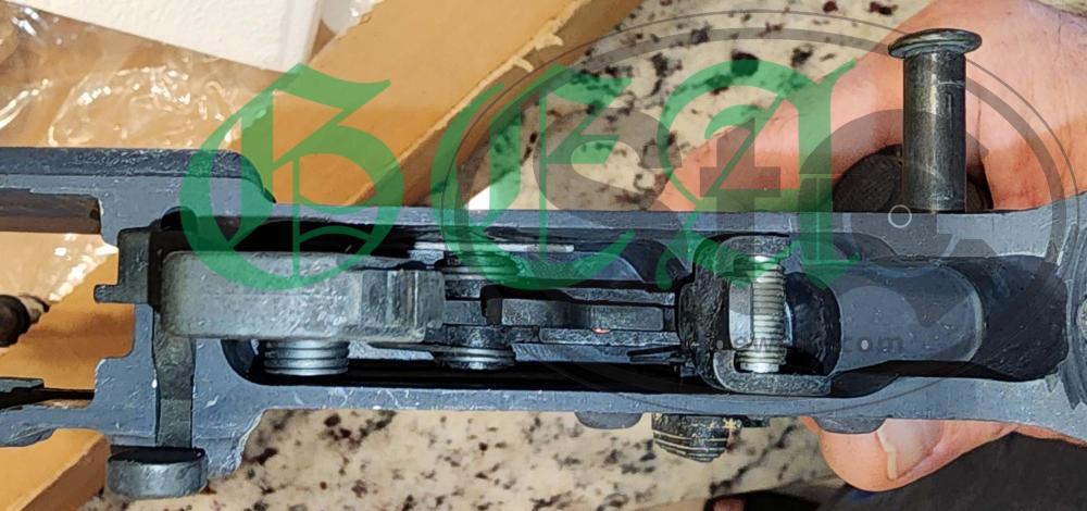 20240706_122049  watermarked.jpg