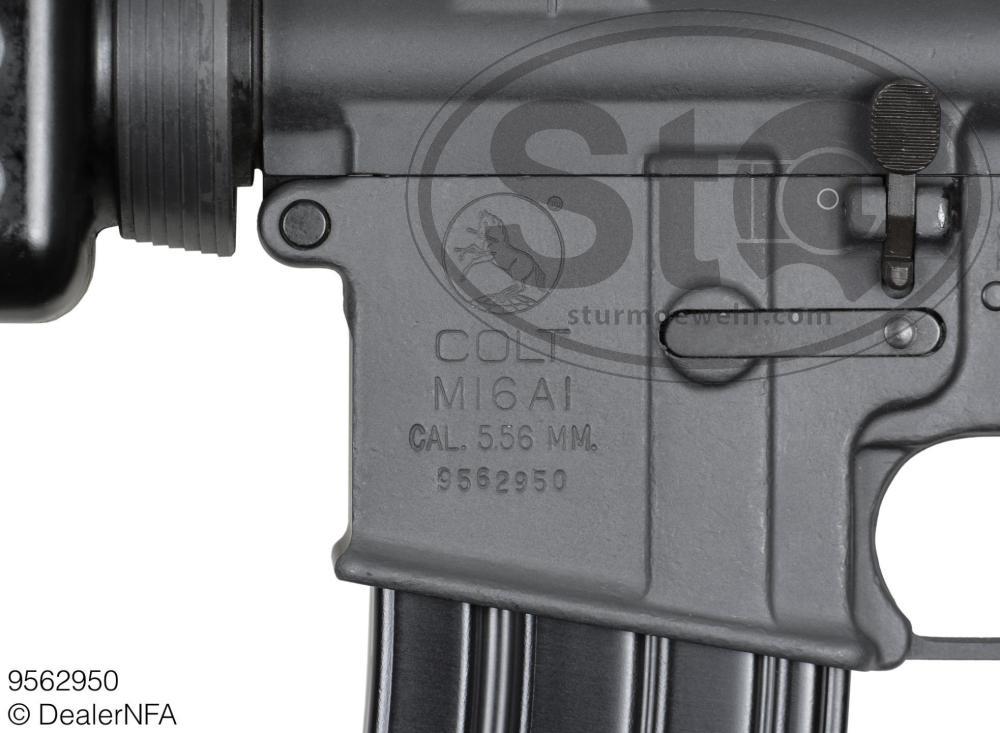 9562950_Colt_Manufacturing_M16A1-013@2x.thumb.jpg.c858d7fbb9cf6d68bceb99c749024f1c.jpg