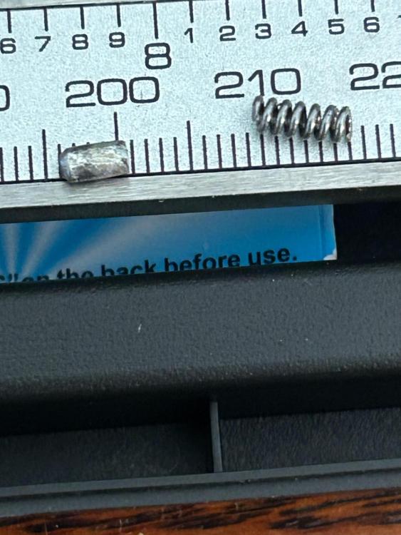 IMG_0232.thumb.jpeg.09f0ef083fedec1f9b8cff73a16e76c6.jpeg